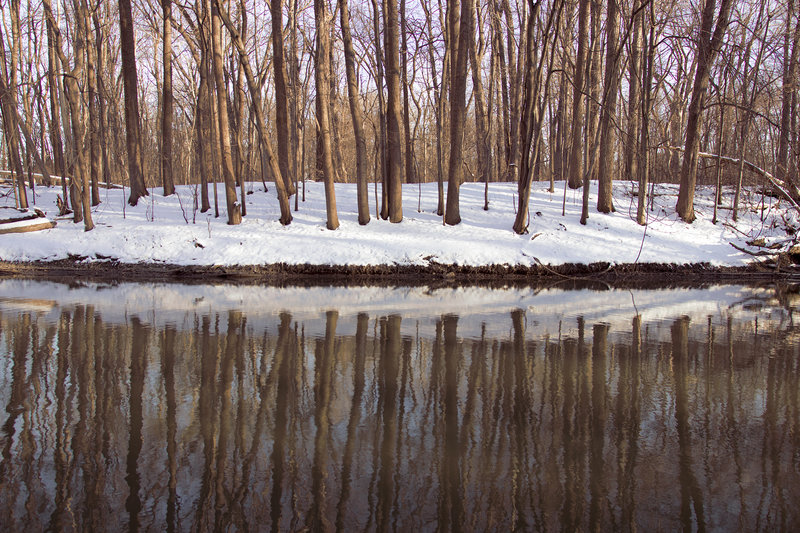 Trees reflect across the Rouge River.