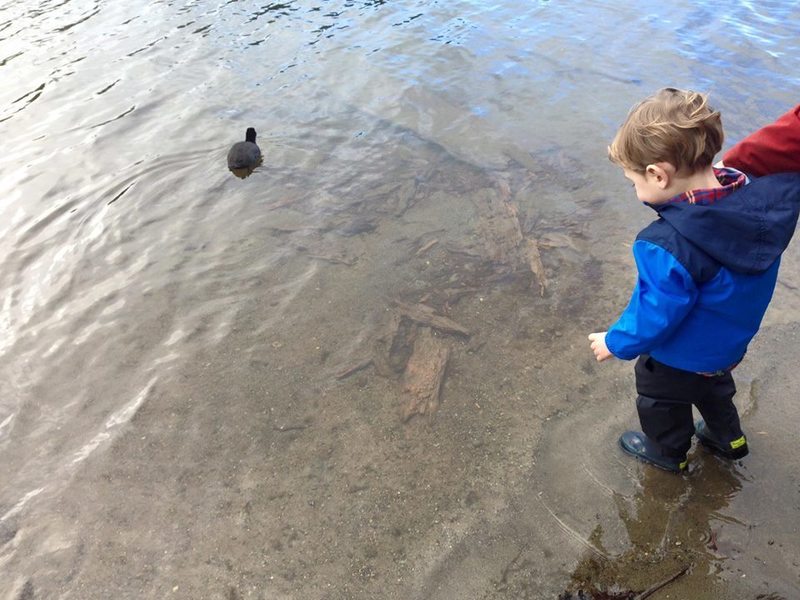 Wapato Lake makes a great place for young ones to explore the water in rain boots.