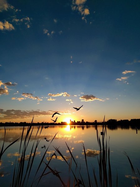 The sun rises over Denver at Sloan's Lake Park.