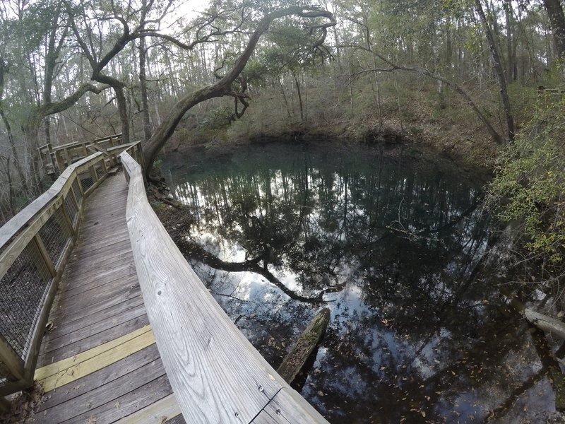 The boardwalk overlooks Hammock Sink.