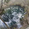 Hammock Sink is located right near the boardwalk for your viewing pleasure.