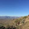 Hop on the Bursera Trail for a gorgeous look at the Estrella Mountains.