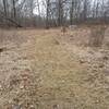 This is a view of the wide grass path (and a bench) in the winter.