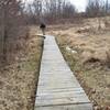 A short boardwalk guides you along this section of the Hathaway Preserve at Ross Run.