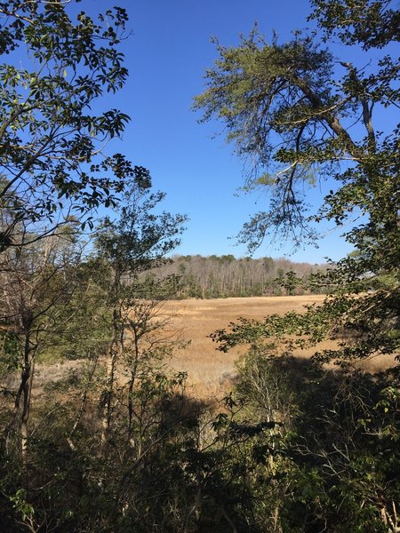 Look over your shoulder for gorgeous views of Taskinas Creek along the Taskinas Creek Trail.