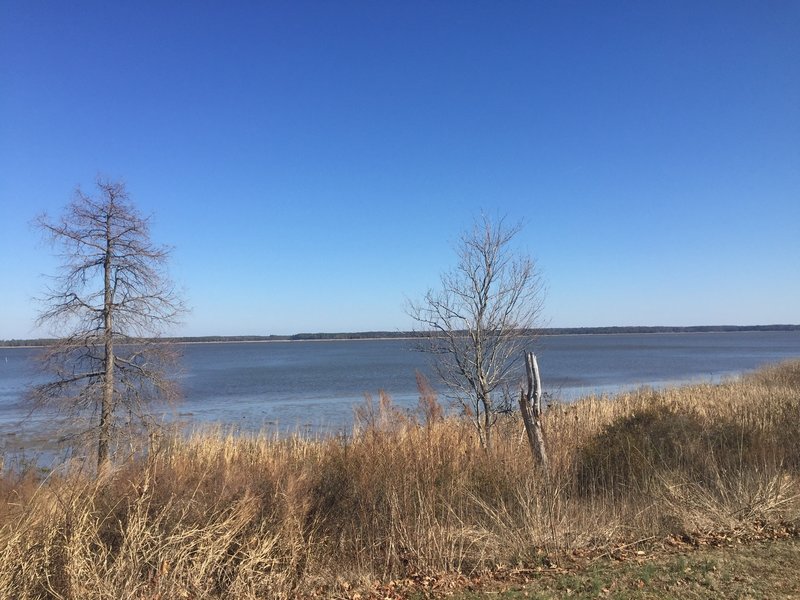 Enjoy a nice view of the York River from the Woodstock Pond Trail.