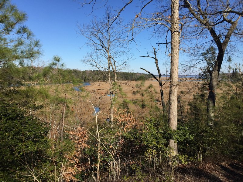 Enjoy plentiful views of Queens Creek from the New Quarter Park Loops.