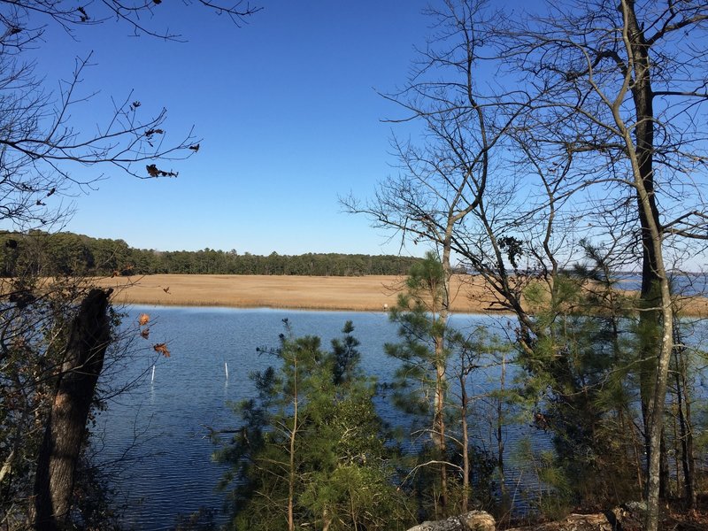 Enjoy spectacular views of Queens Creek from the New Quarter Park Loops.