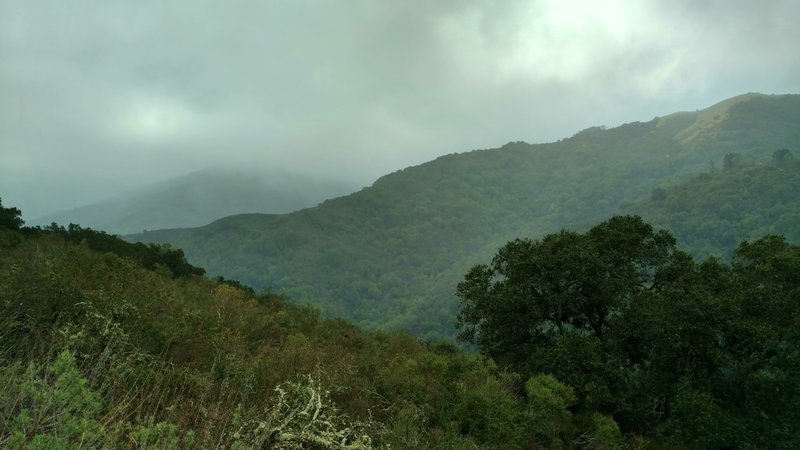 The Santa Cruz Mountains poke through the clouds on a stormy winter day along the Wood Road Trail.