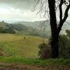 The Wood Road Trail meanders through the Quicksilver Hills with the Santa Cruz Mountains in the distance.