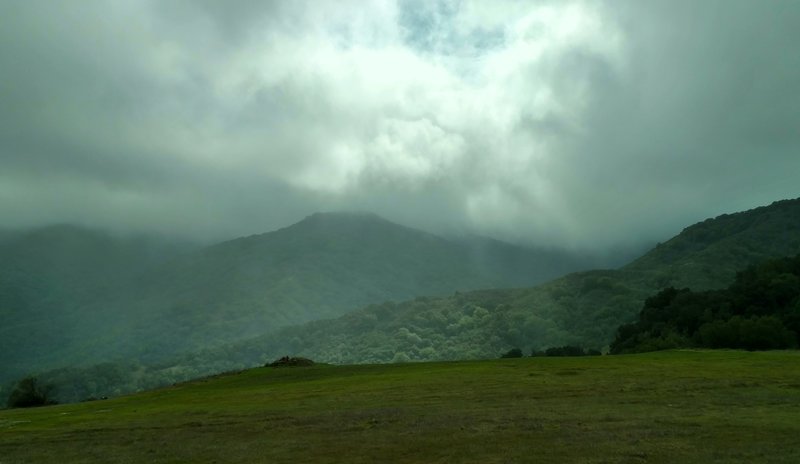 The Santa Cruz Mountains stand in fleeting sunlight on a stormy winter day along the Wood Road Trail.