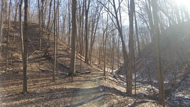 The Spring Hollow Trail passes through this narrow corridor.