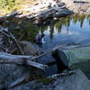 You'll have to cross this precarious log at the outlet of lower Thornton Lake.