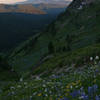 The Goat Rocks don't disappoint - fields of flowers and Mt. Adams pose at sunset.