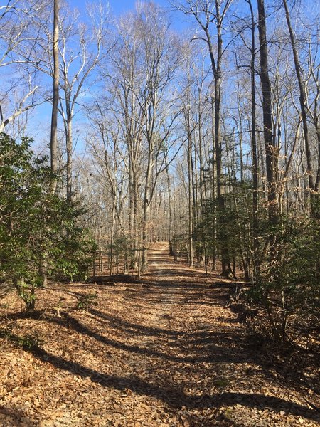 At times, the trail narrows to singletrack on the Riverview Trail.