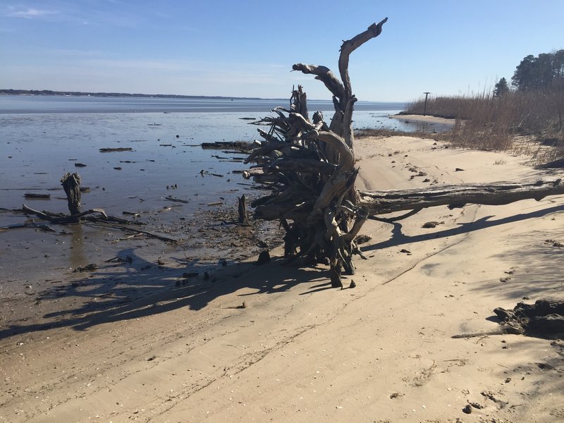 Pop your toes in the sand at the end of the Riverview Trail.