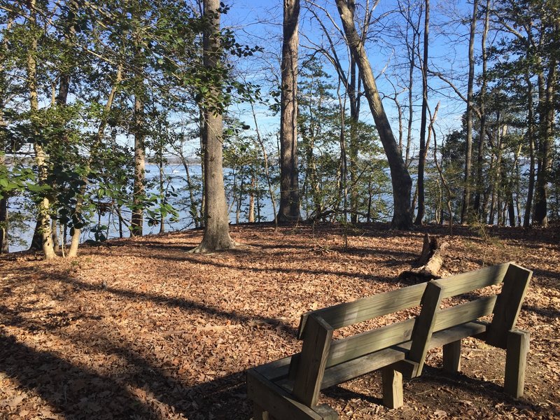 A nice bench offers pleasant views of the York River near the end of the Majestic Oak Trail.