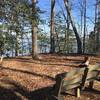 A nice bench offers pleasant views of the York River near the end of the Majestic Oak Trail.