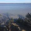 Tree shadows fall on the York River at the end of the Powhatan Forks Trail East Fork.