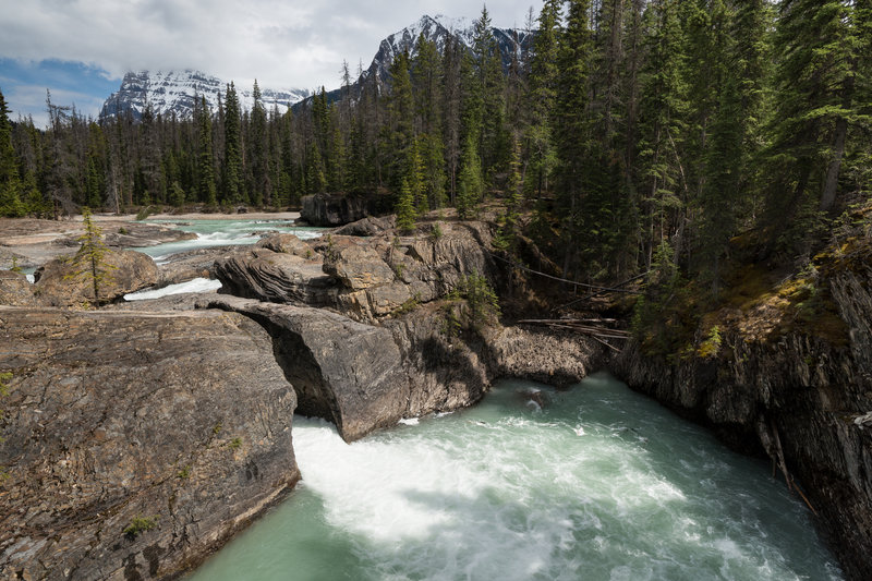 Natural Bridge provides passage over the roaring Kicking Horse River in Yoho National Park.