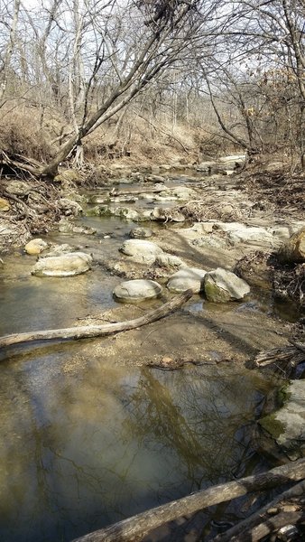 A local creek flows through Arbor Hills Nature Preserve.
