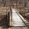 A sturdy bridge provides passage over this drainage in Arbor Hills Nature Preserve.