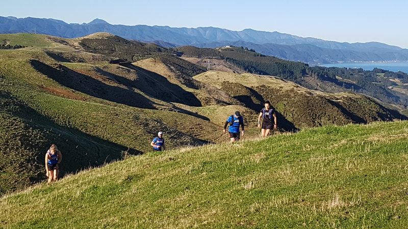 Views back over the Puke Ariki Trail to the north.