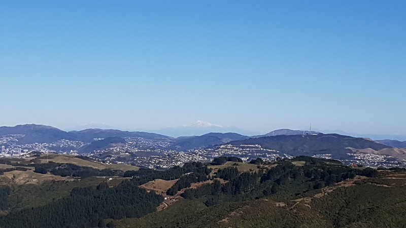 View from Belmont Trig looking to Mount Kaukau.