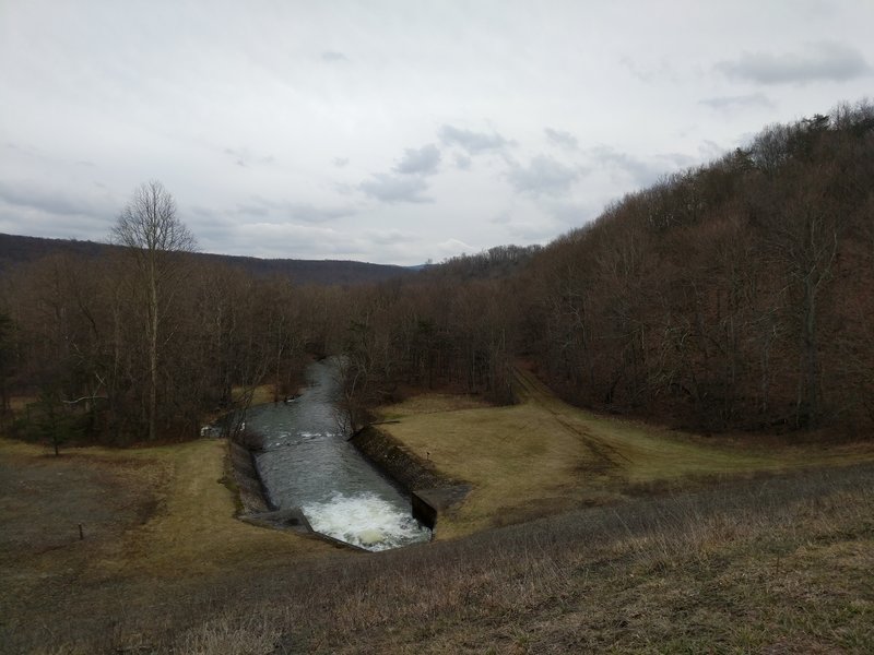 The downstream side of the dam harbors dense hardwood forests and a raging outflow.