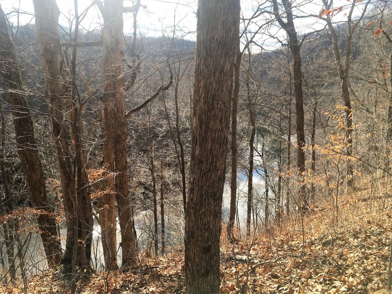 A somewhat shrouded overlook of Big Walnut Creek