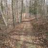 The crackle of leaves underfoot makes for a wonderful winter day on the Ridge Trail.