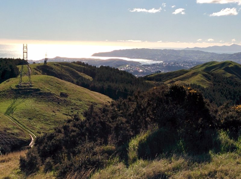 The view over the rolling hills from Belmont Trig.