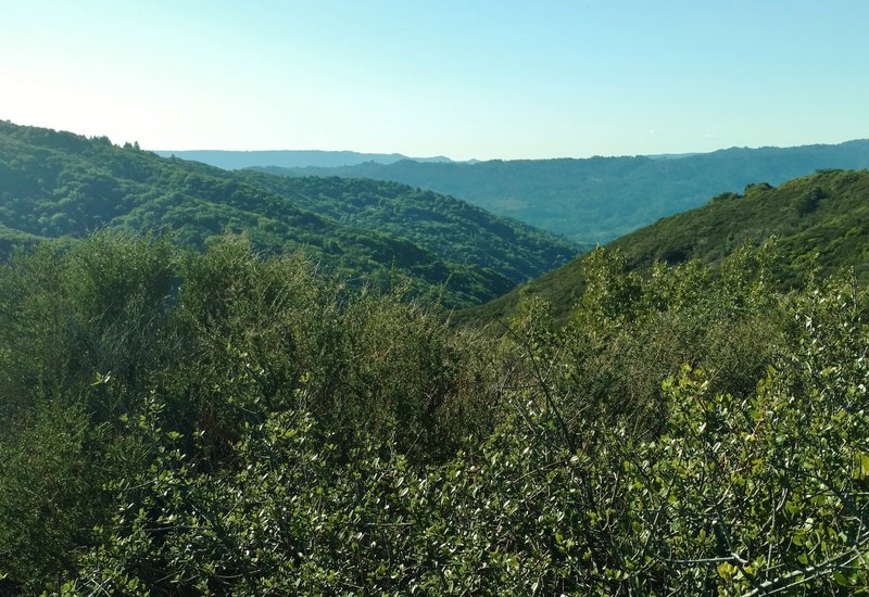 Look west over the Santa Cruz Mountains from near the summit of Mt. El Sombroso (2,999 ft) along the Woods Trail.