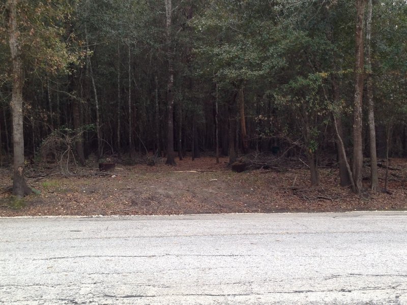 Plummer Trace enters tall trees on the south side of Patterson Road.