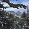 Every so often, you'll get a peek through the forest to the snow-capped mountains beyond.