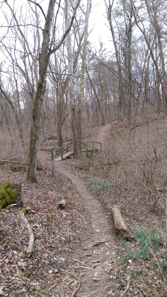 A sturdy bridge aids your passage over a small creek in this section.