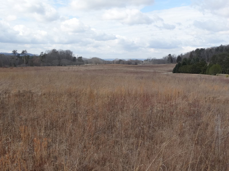 Enjoy pleasant prairie views from the Big Prairie Stand.