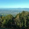 Looking north, San Jose and Mt. Diablo stand in the distance from the summit of Mt. El Sombroso (2,999 ft).