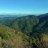 Enjoy phenomenal views looking east from high on the Woods Trail. Quicksilver Hills stand on the left in the distance; East Bay Hills in the far distance (left); and the east shoulder of Mt. Umunhum stands on the right.