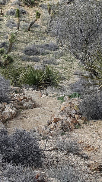 Look out for these rock stairs while heading down from the peak on the High View Nature Trail.