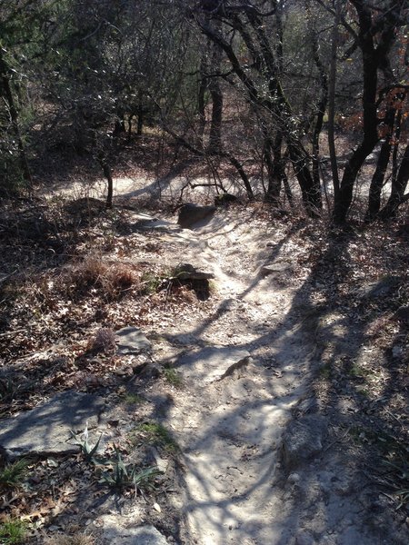 Navigate this steep climb at the southeast end of the Shoreline Trail.