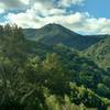 Enjoy the first views of Mt. Umunhum right near the Woods Trail trailhead.