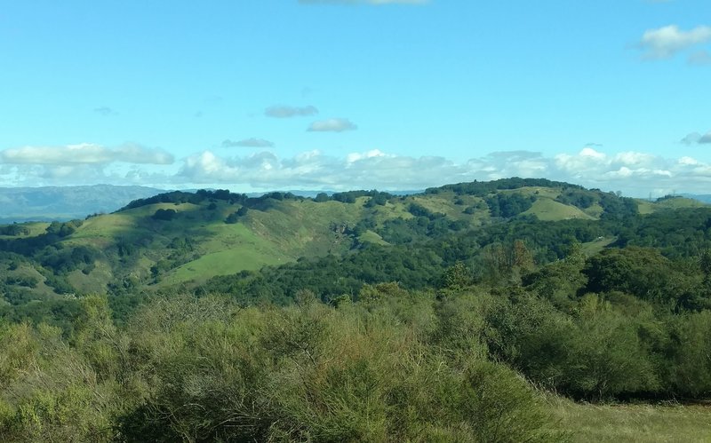 Capitancillos Ridge of the Quicksilver Park Hills makes for a great view from the Woods Trail.