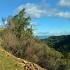 Expect gorgeous views as you climb through rugged terrain on the Woods Trail in the Santa Cruz Mountains.