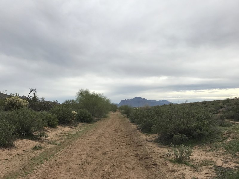 The Channel Trail offers a great view of the distant Superstition Mountains.