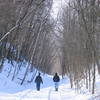 Come experience a picturesque winter wonderland on the Galena River Trail.