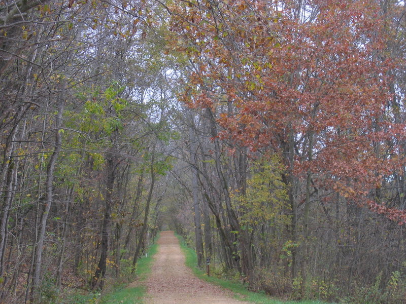 Enjoy the Galena River Trail on a chilly fall day to experience falling leaves, quiet forests, and peaceful solitude.