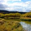 Hunter Lake is a shallow pond nestled within a willow-fringed meadow.