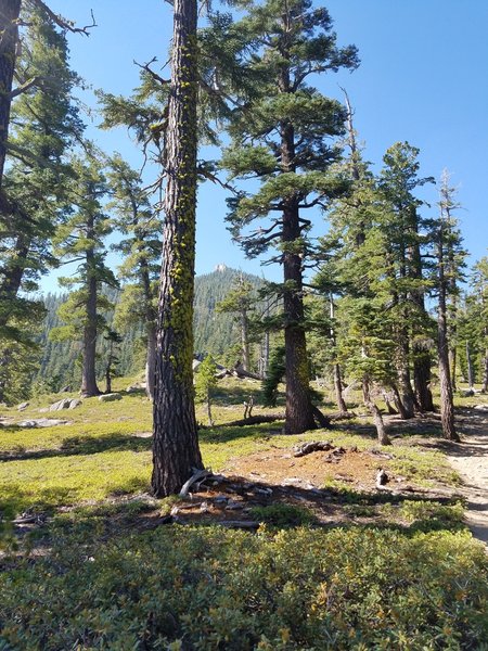 Rubicon Point periodically peeks through the trees on your way up the trail.