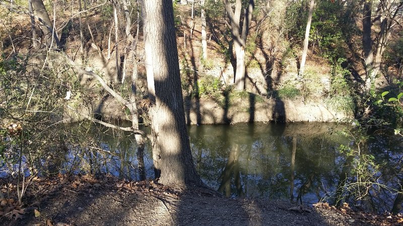 Prairie Creek meanders peacefully alongside the trail.